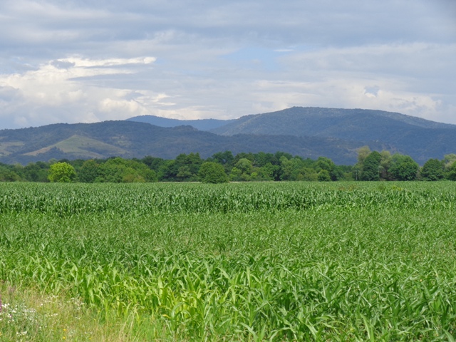 20130705 Menyháza 089